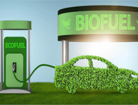 Certificate in Bio-CNG (Green Fuel)