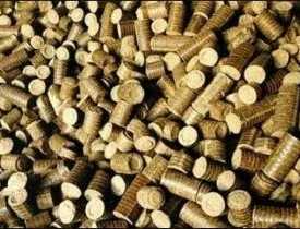 Certificate in Biomass Briquettes