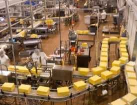 Certificate in Cheese Processing Business