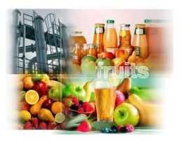 Certificate in Fruit Juice Extraction Plant