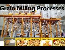 Certificate in Grain Milling & Processing