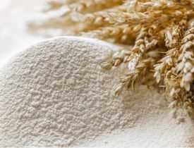 Certificate in Wheat Flour Milling Technology