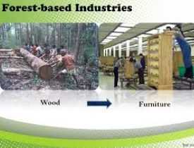 Forest Based Industries Course