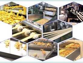 Snacks Processing Course