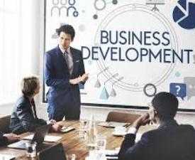 Online Course Certified Business Development Professional