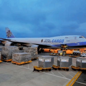 Online Course Certified Air Freight Forwarding