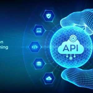 Online Course Certified Application Programming Interface Developer