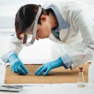 Online Course Certified Art Restoration Technician