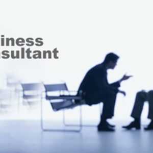 Online Course Certified Business Consultant