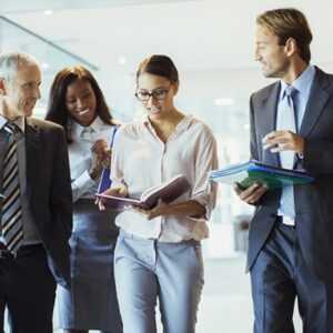 Online Course Certified Effective Business Executive