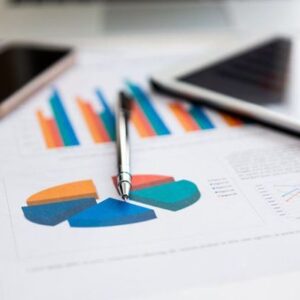 Online Course Certified Portfolio Manager – Business Strategy