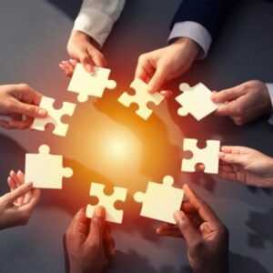 Online Course Certified Problem-Solving Executive