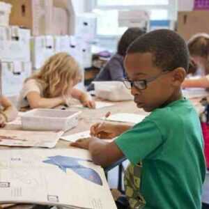 Online Course Certified Universal Design for Learning Implementation Specialist