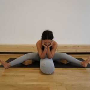 Online Course Certified Yin Yoga Trainer