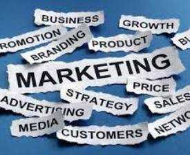 Online course Diploma in Marketing and Brand Management